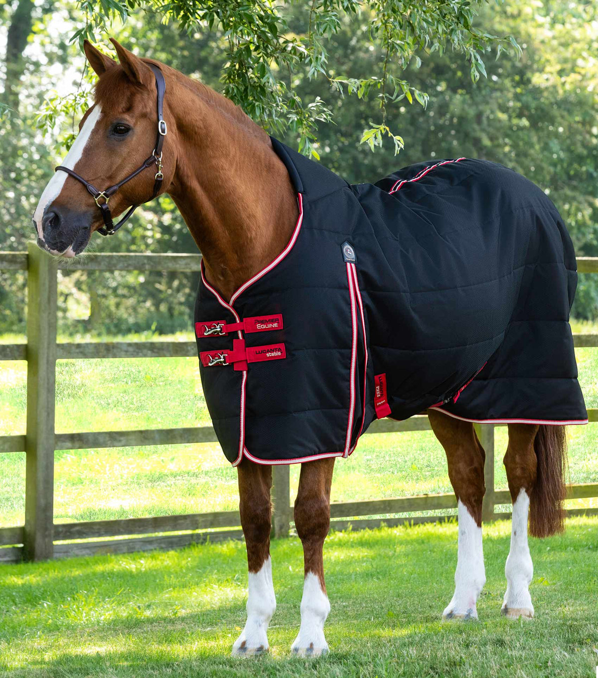 Lucanta Demi Stable 200g