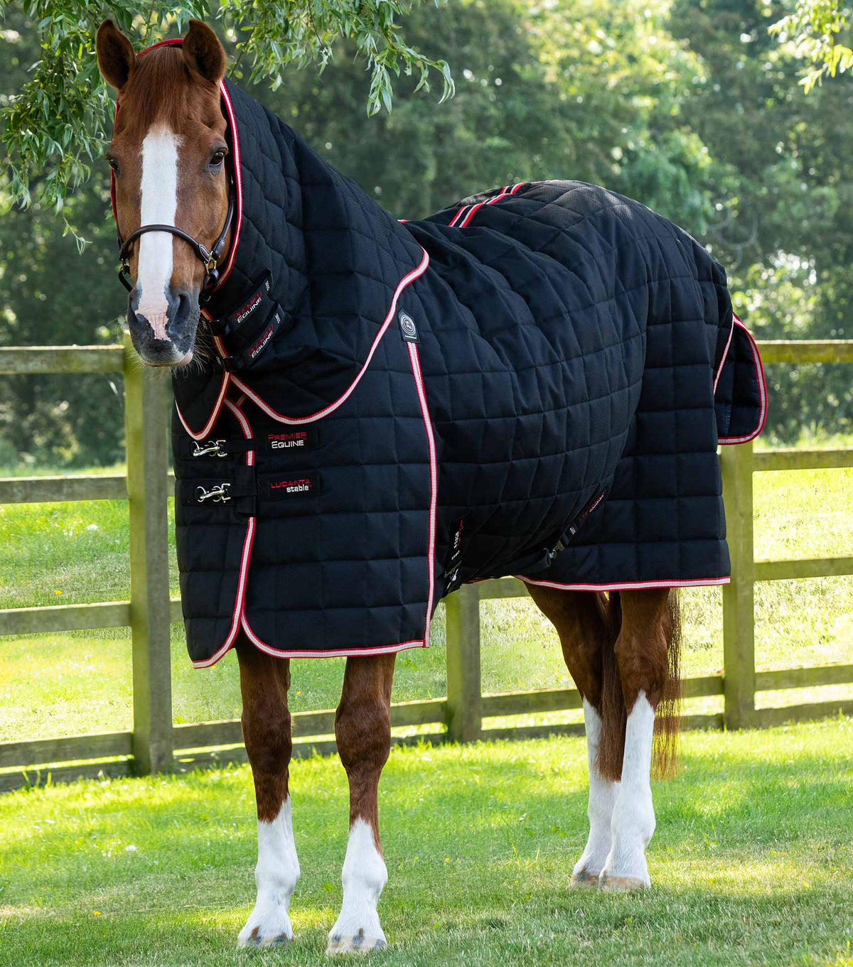 Lucanta 450g couverture d’écurie avec Neck Cover