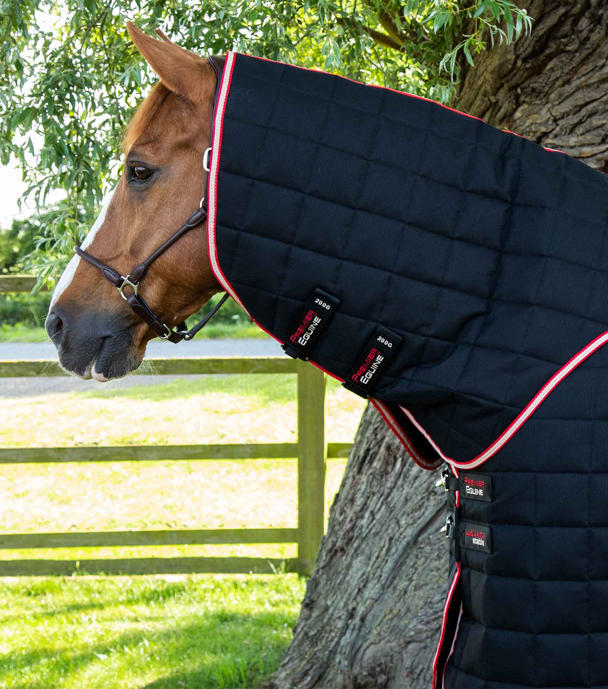 Lucanta 450g couverture d’écurie avec Neck Cover