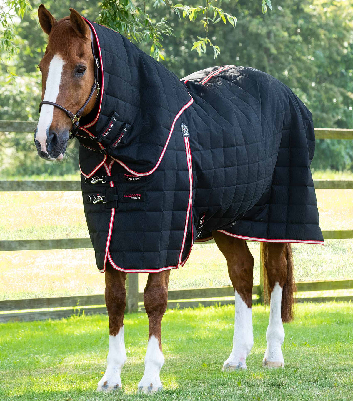 Lucanta 200g couverture d’écurie avec Neck Cover
