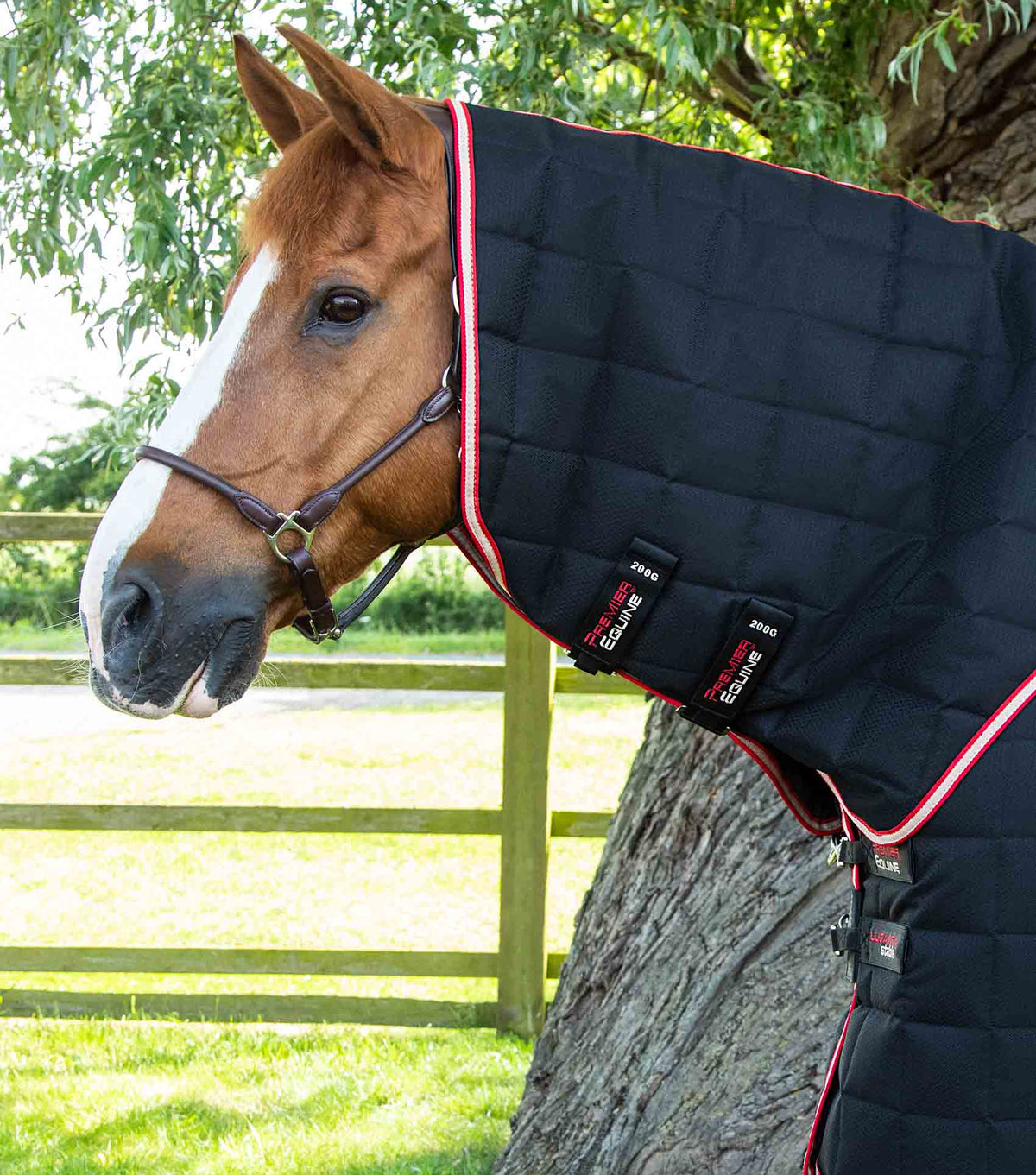 Lucanta 200g couverture d’écurie avec Neck Cover