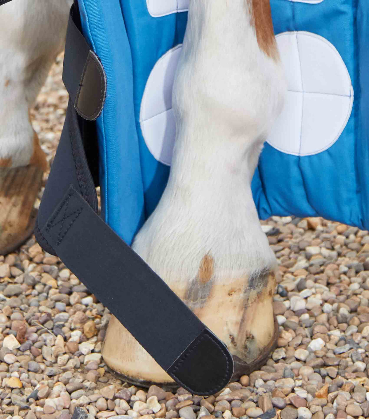Magni-Teque Magnetic guêtre bandages Inc. Liners
