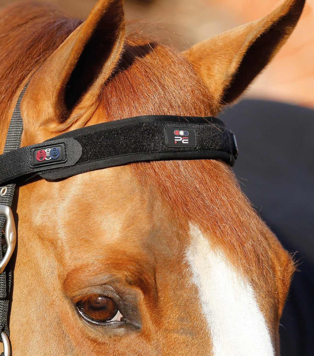 Magni-Teque Magnetic Frontal
