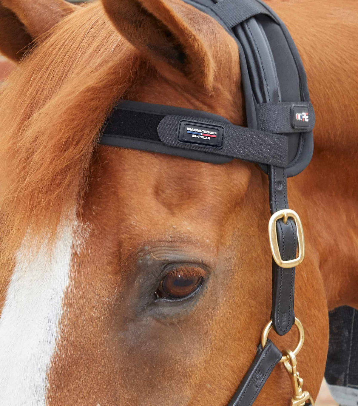 Magni-Teque Magnetic Frontal