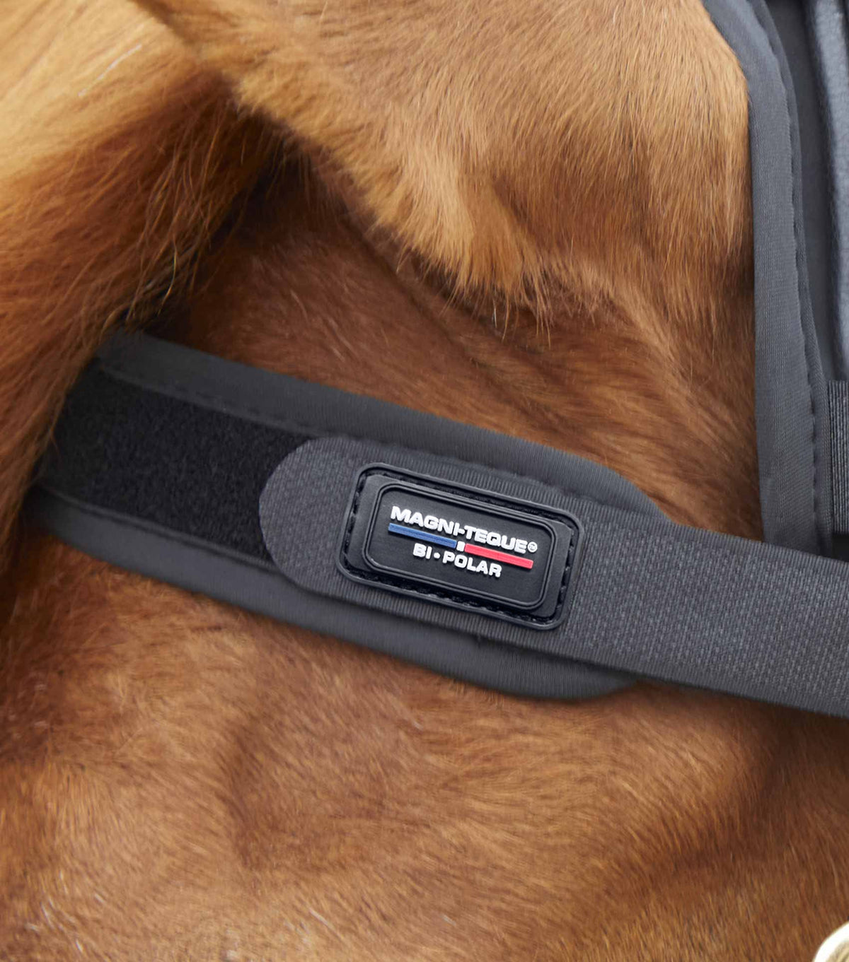 Magni-Teque Magnetic Frontal