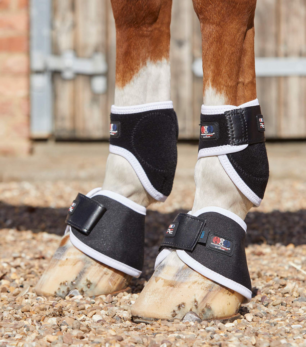 Magni-Teque Magnetic Hoof guêtres