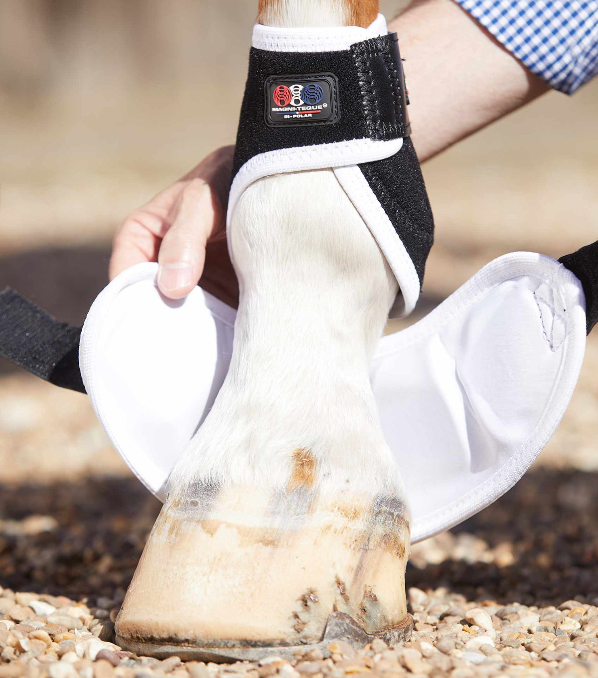 Magni-Teque Magnetic Hoof guêtres