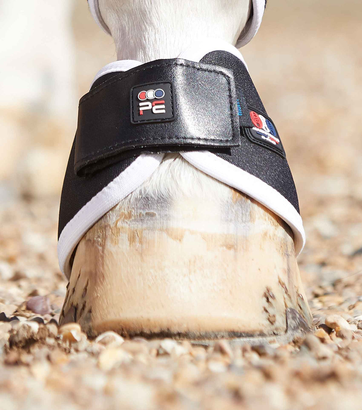 Magni-Teque Magnetic Hoof guêtres