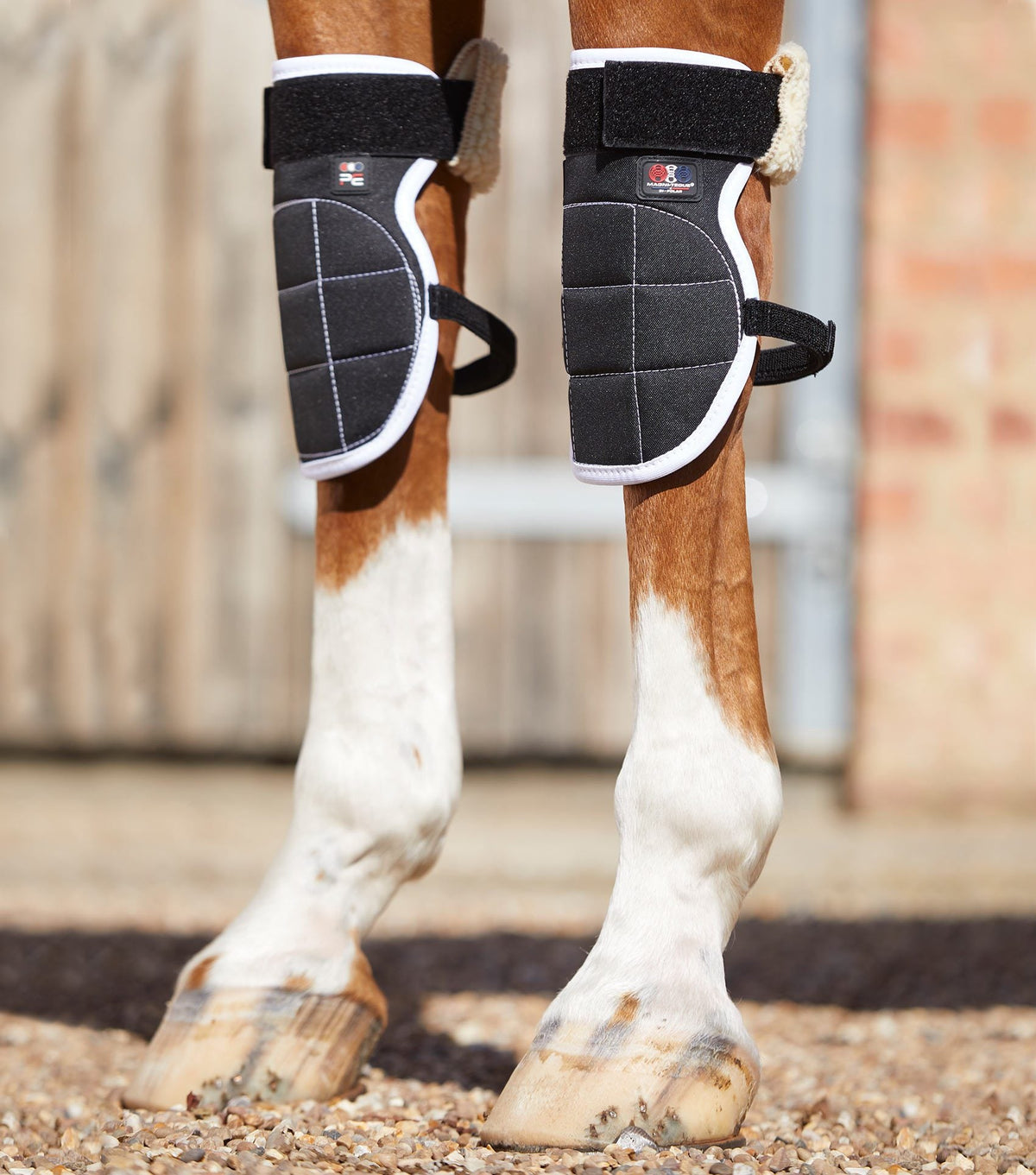 Magni-Teque Magnetic Horse Knee guêtres