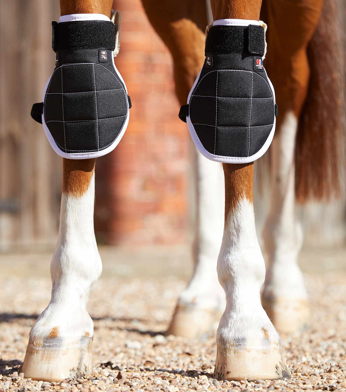 Magni-Teque Magnetic Horse Knee guêtres