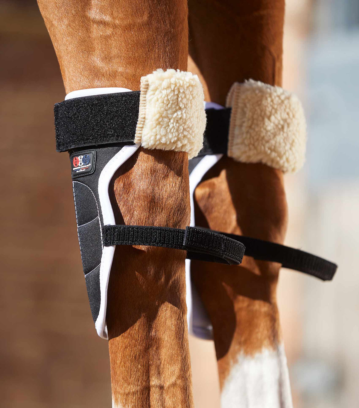Magni-Teque Magnetic Horse Knee guêtres