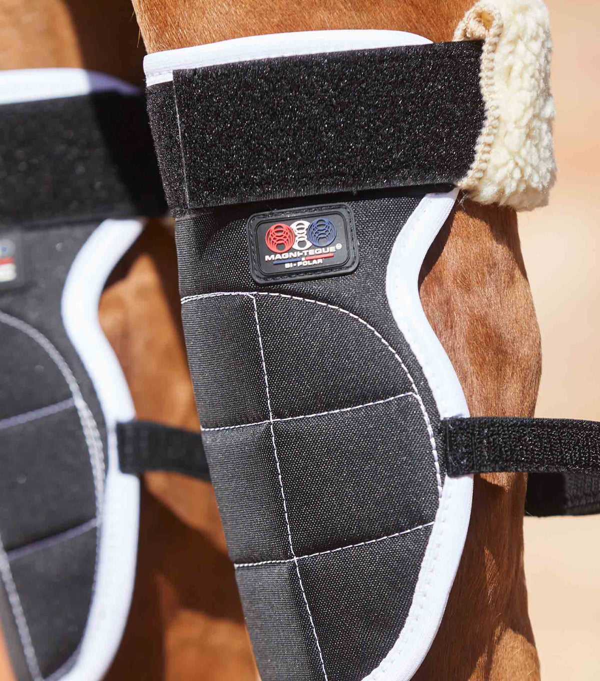 Magni-Teque Magnetic Horse Knee guêtres