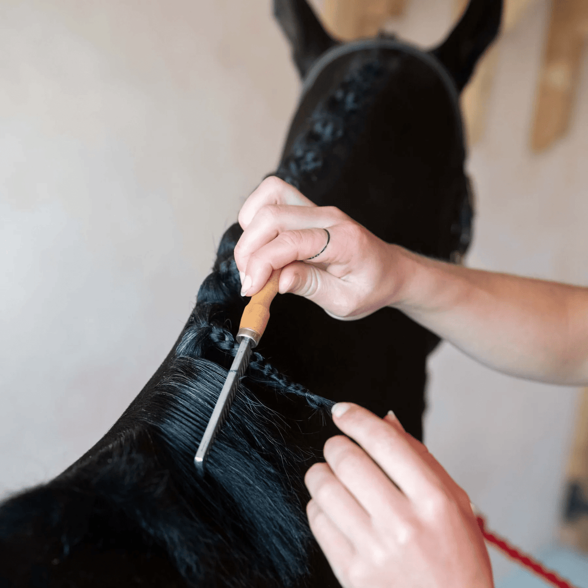 Smart Grooming Peigne à crinière, glisse facilement dans les crins, dents en acier résistantes