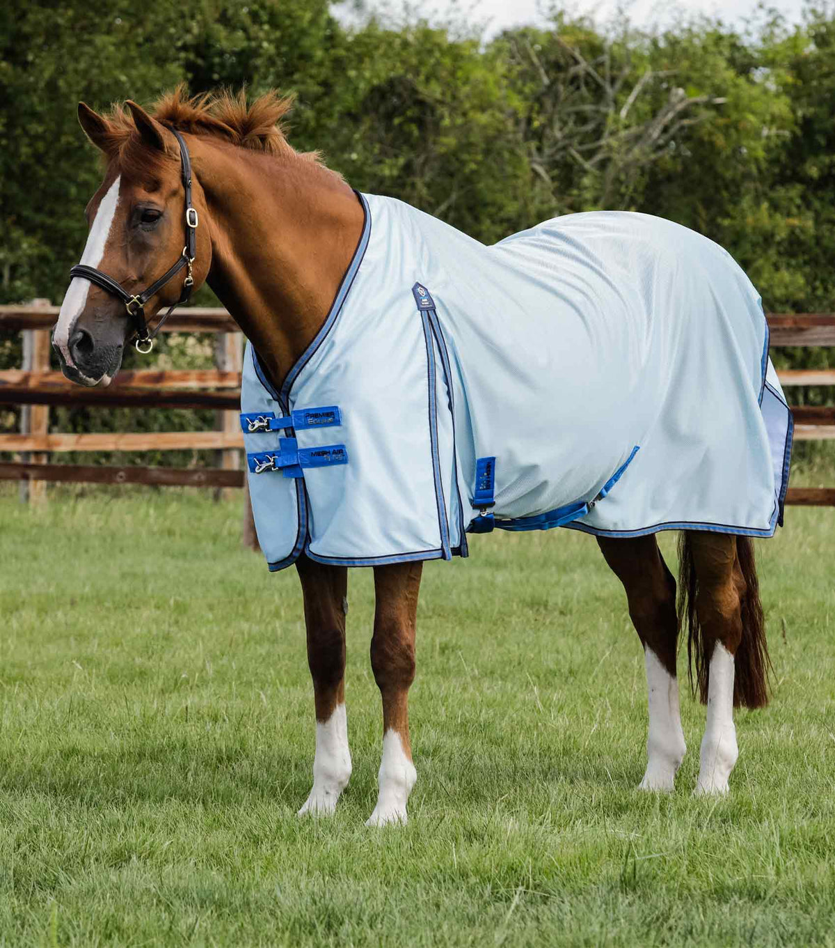 Mesh Air – couverture anti-mouches avec sursangles