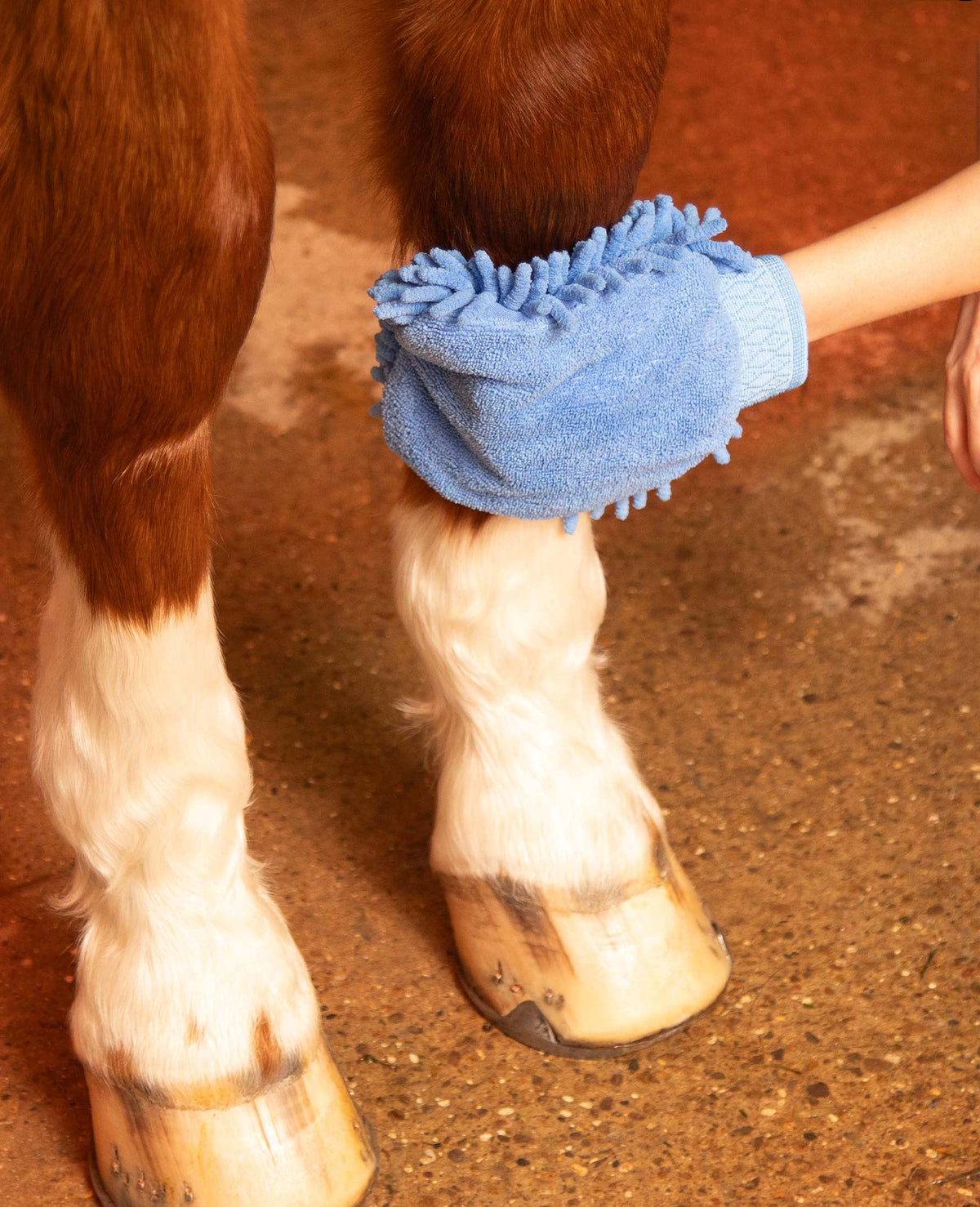 Microfibre pansage Mitt