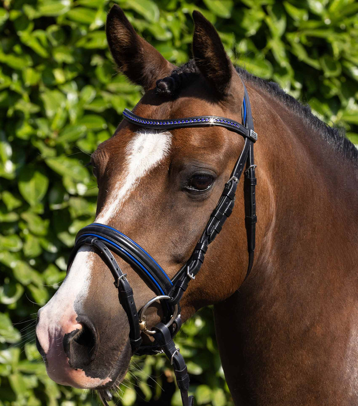 Mineo Anatomical Pony Bridon avec muserolle combinée