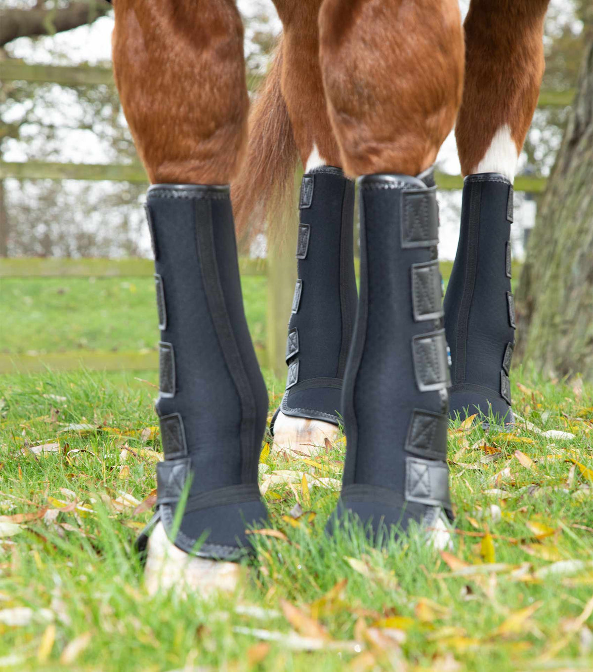 Turnout/ Mud Fever guêtres