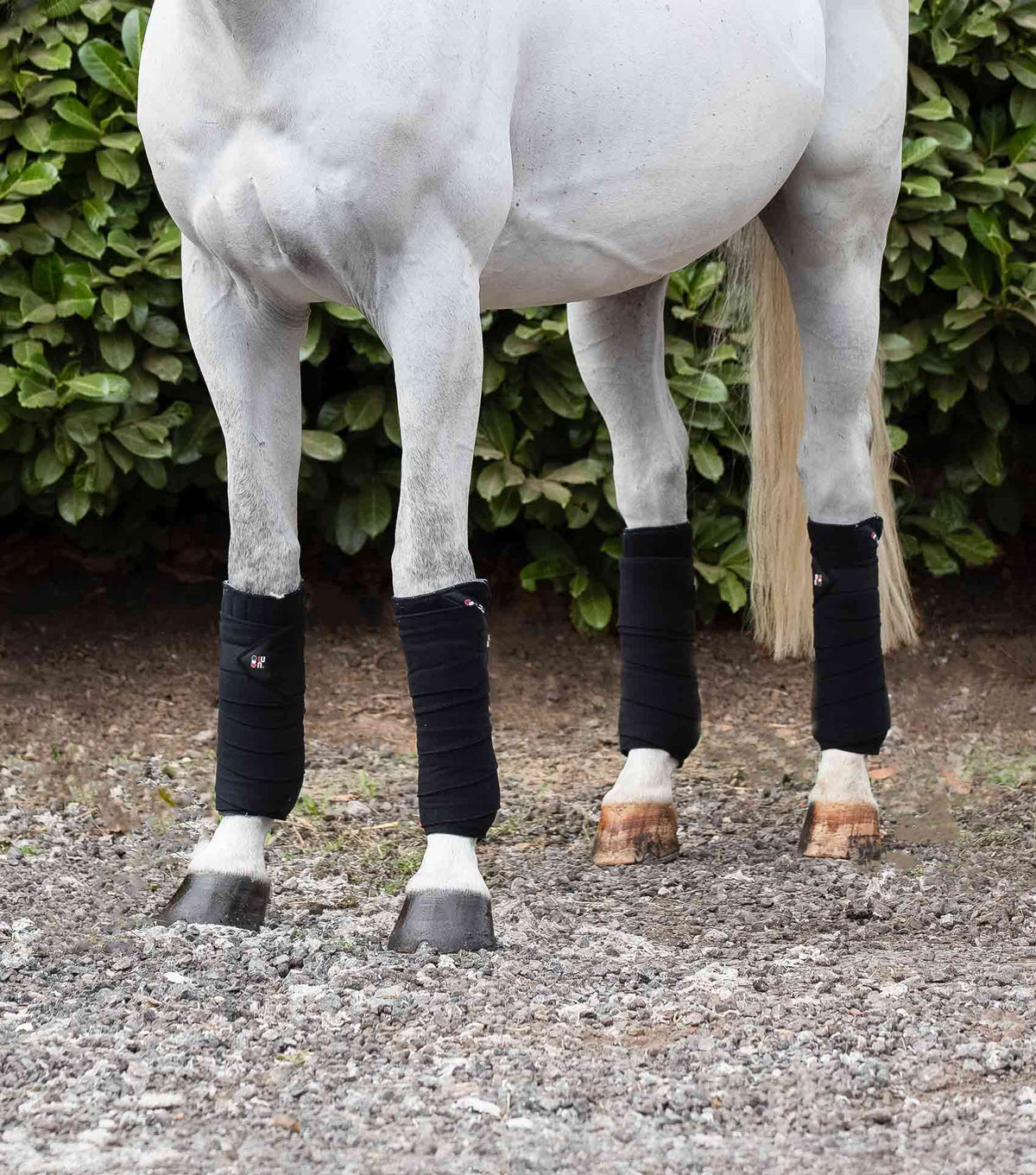 Horse Polo Fleece Bandages