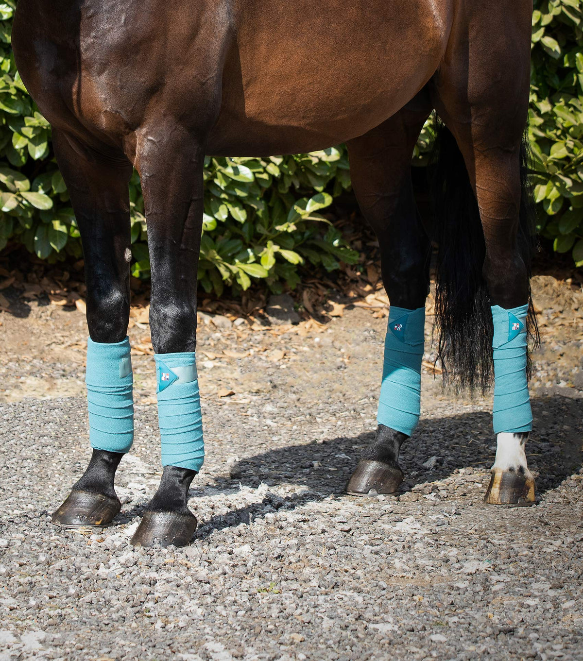 Horse Polo Fleece Bandages