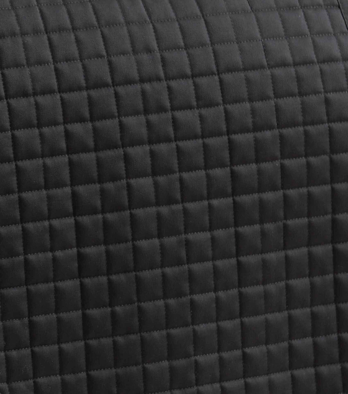 Pony Close Contact laine mérinos Half Lined European Tapis de dressage