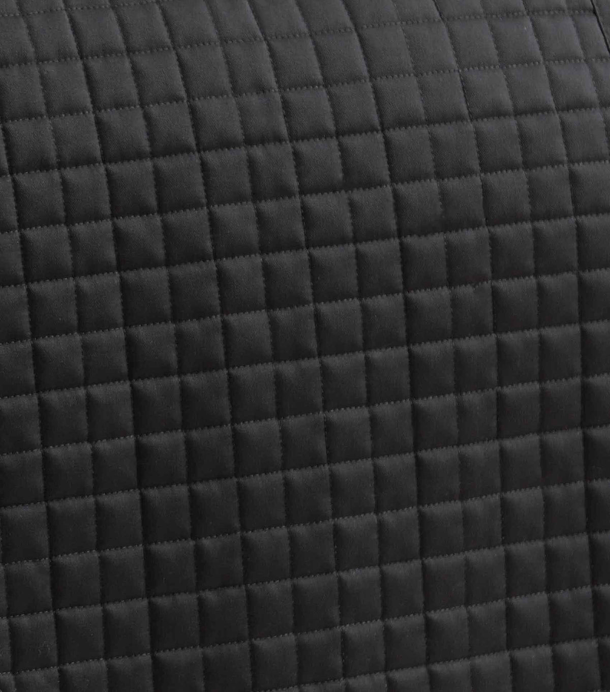 Pony Close Contact laine mérinos Half Lined European Tapis de dressage