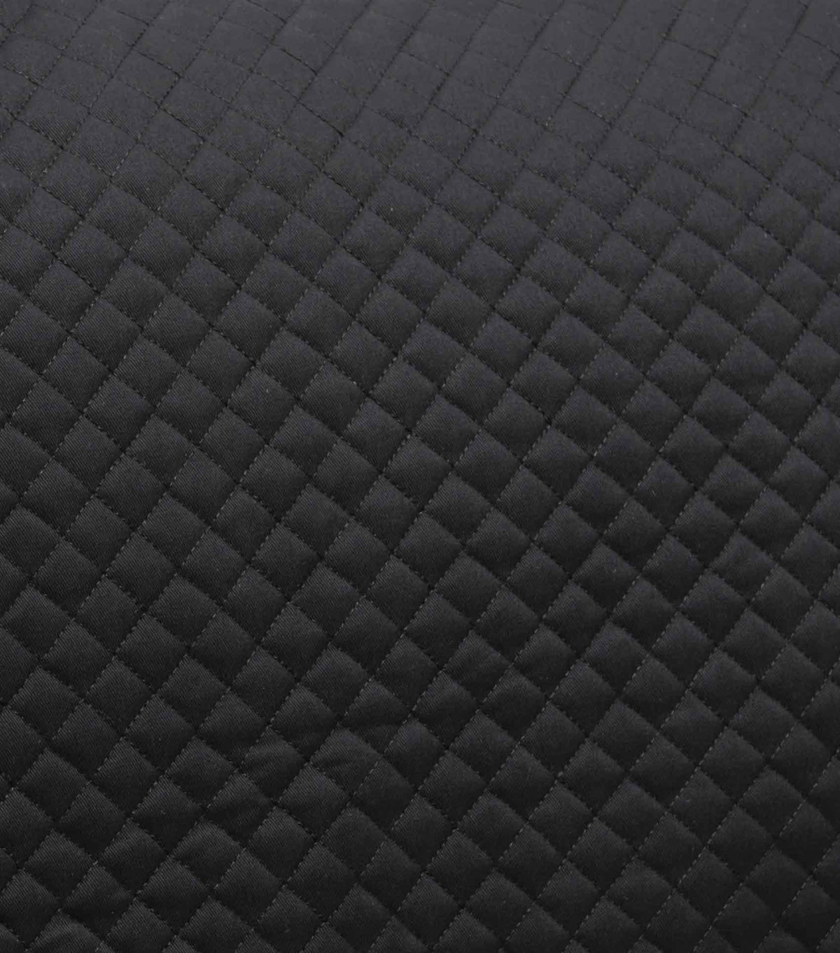 Pony Plain coton Tapis de dressage