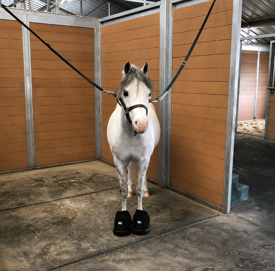 Ice Horse Hoof Ice Boots, 6 inserts froids inclus, cryothérapie ciblée pour le sabot