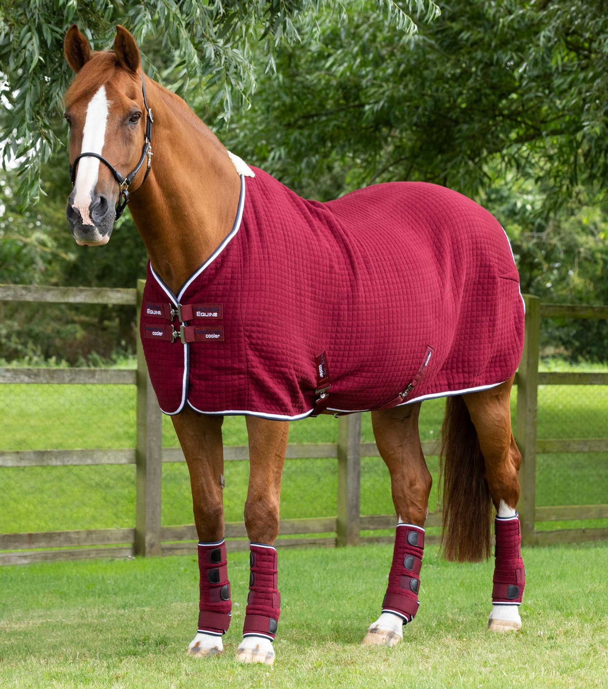PremTex – chemise séchante