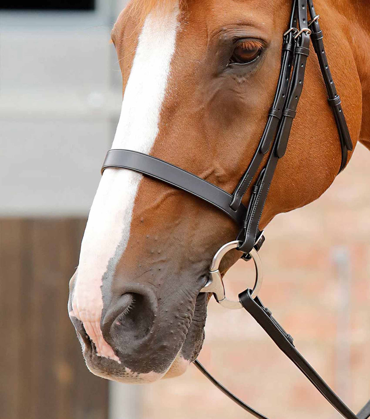 Primo Hunter Cavesson Muserolle