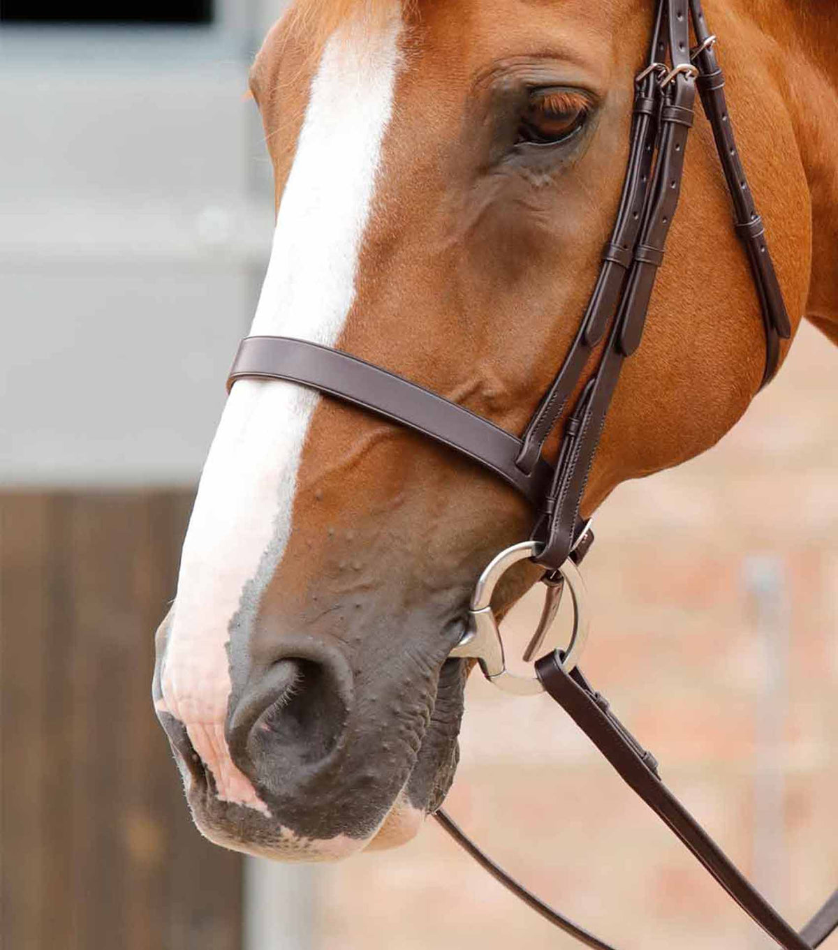Primo Hunter Cavesson Muserolle