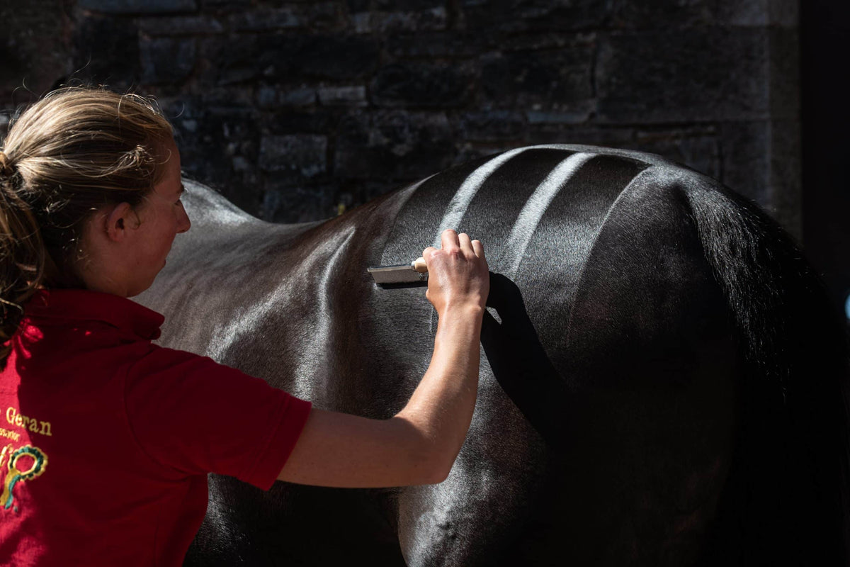 Smart Grooming Gel à damiers, fixe les motifs, brillance discrète