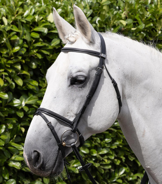 Raised Jumping Bridon avec muserolle combinée