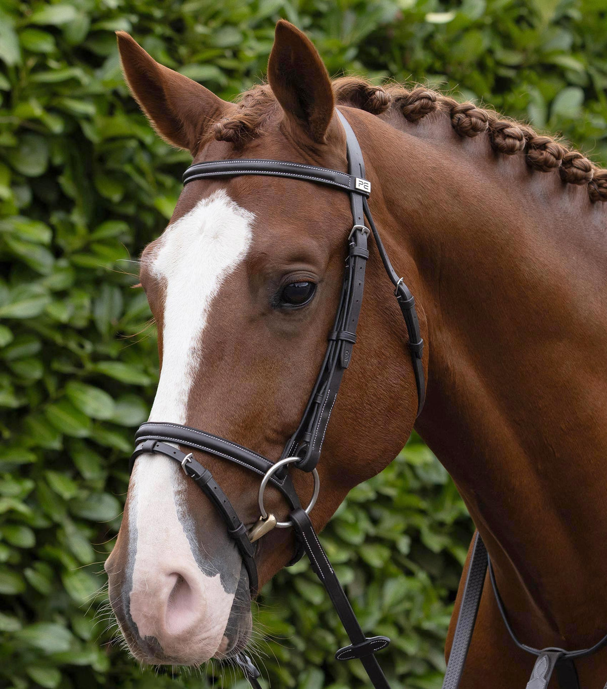 Raised Jumping Bridon avec muserolle combinée