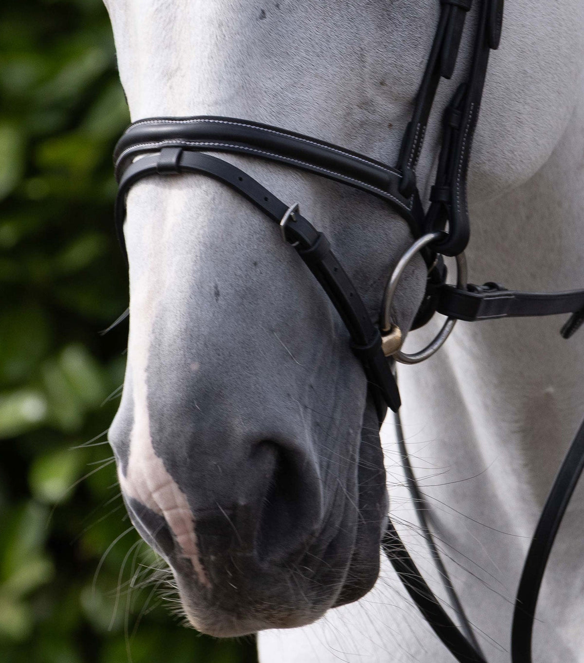 Raised Jumping Muserolle