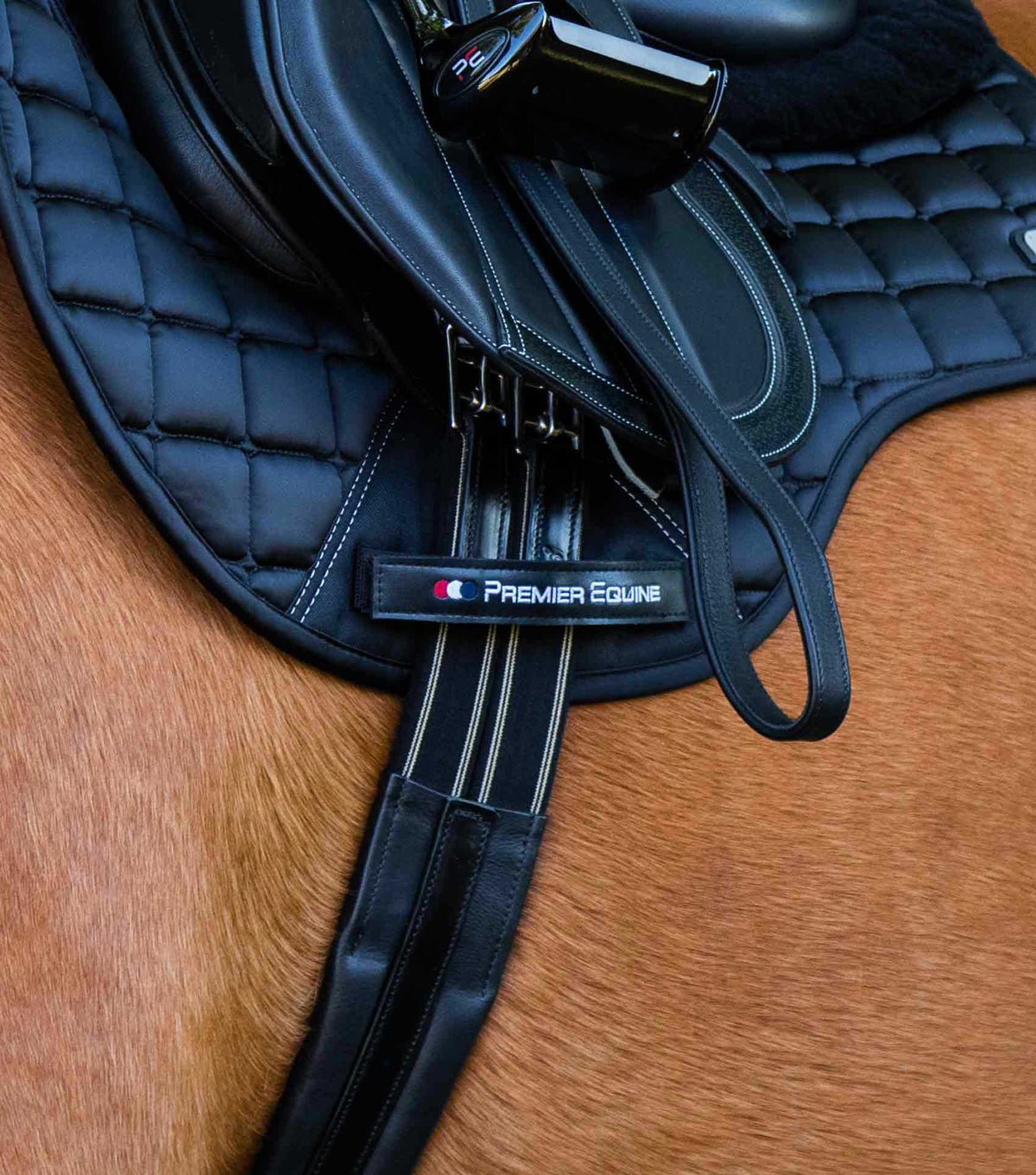 Rapone en cuir Sangle