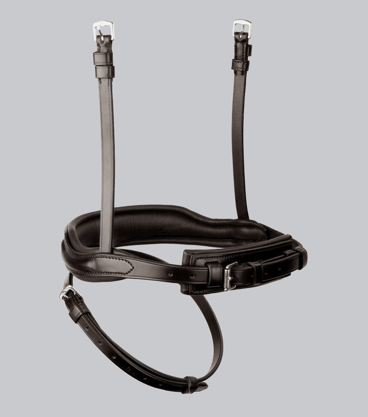 Rizzo Anatomic Flash Muserolle