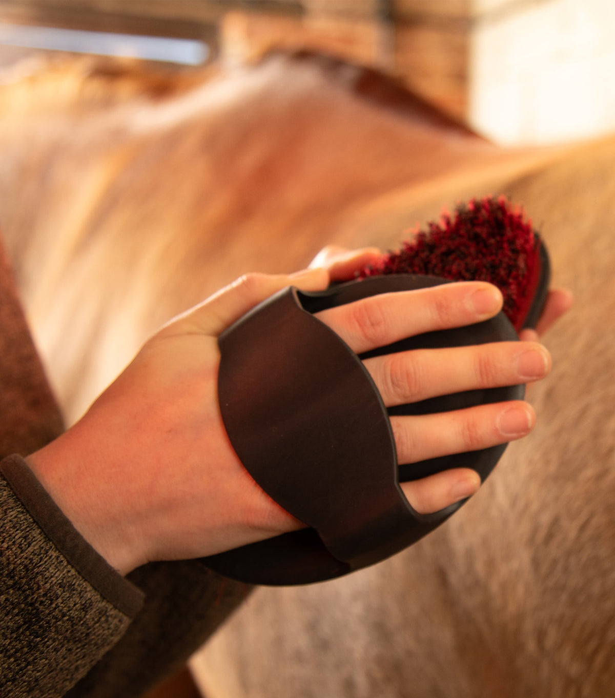 Rubber Étrille