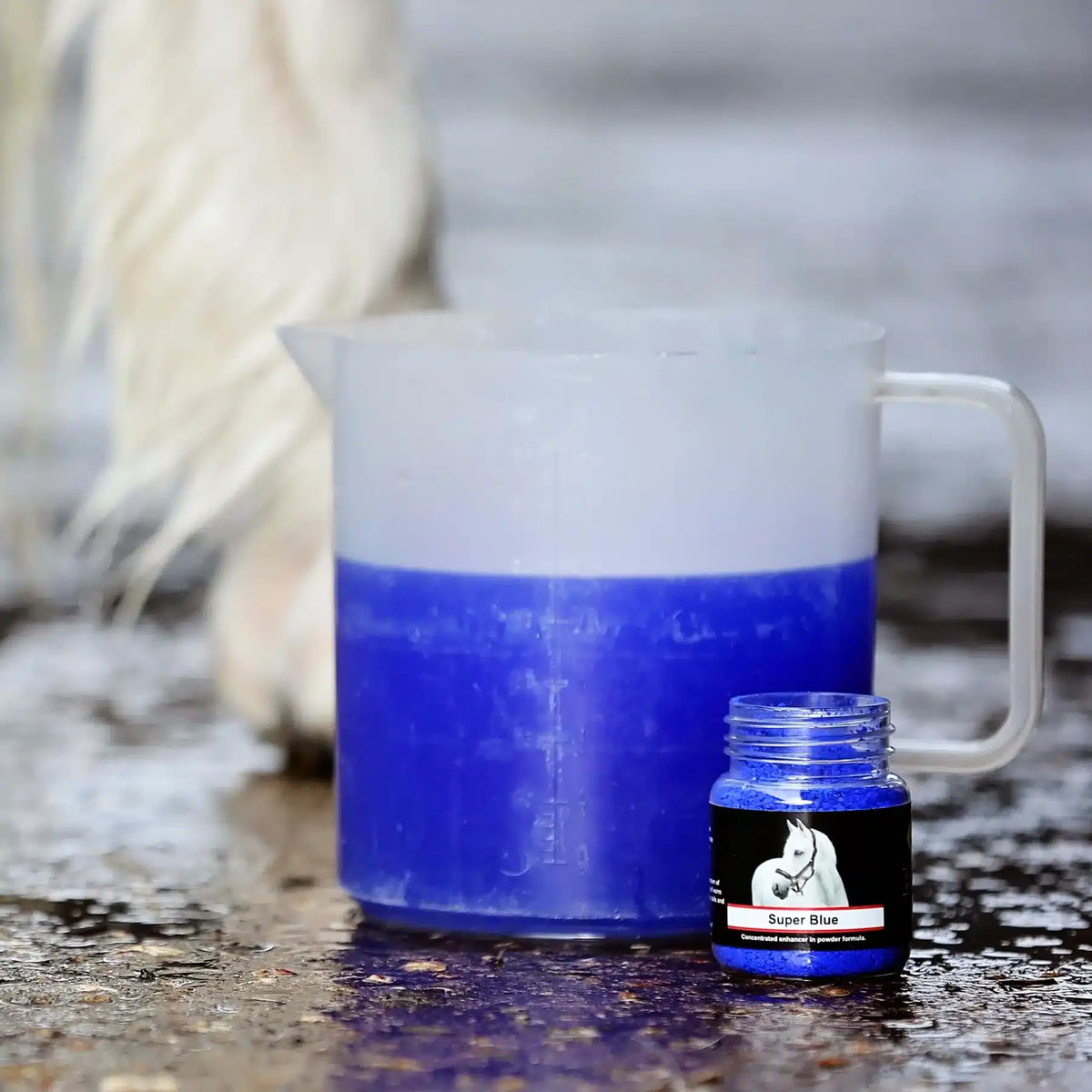 Smart Grooming Poudre blanchissante Super Blue, finition de concours, blanc éclatant