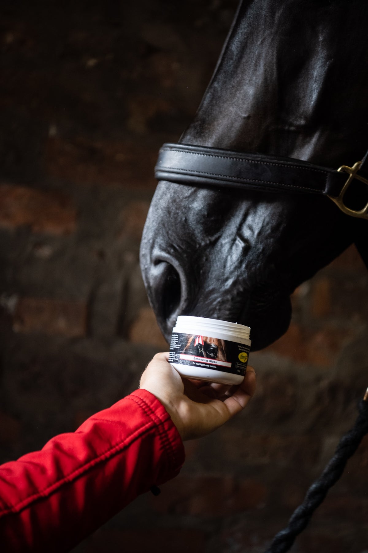 Smart Grooming Accentuate Finishing Gloss, protection UV, met en valeur les zones souhaitées