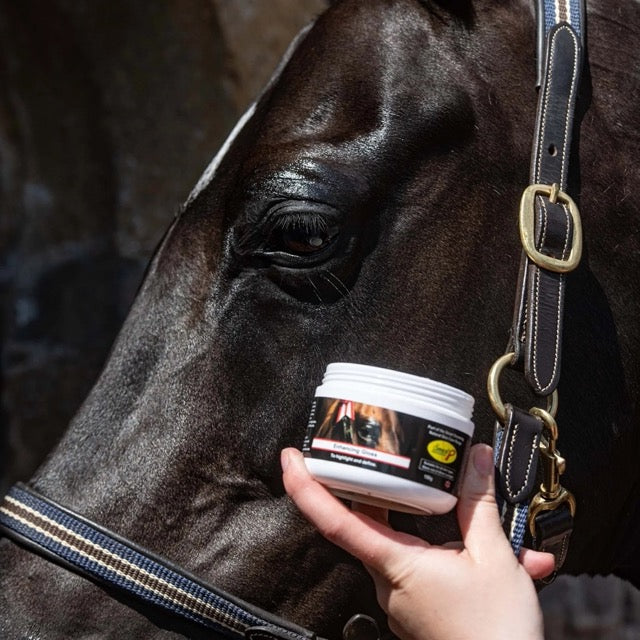 Smart Grooming Accentuate Finishing Gloss, protection UV, met en valeur les zones souhaitées