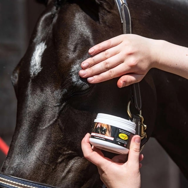 Smart Grooming Accentuate Finishing Gloss, protection UV, met en valeur les zones souhaitées