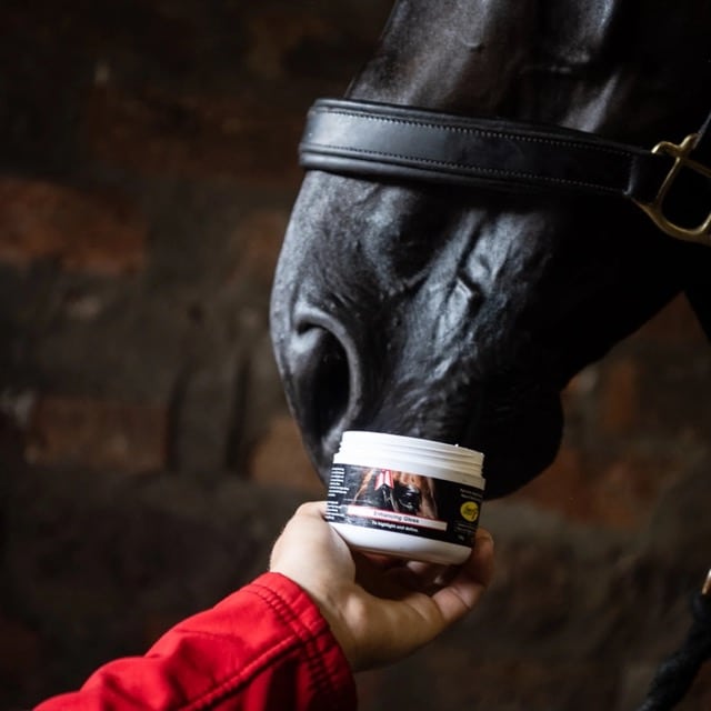 Smart Grooming Accentuate Finishing Gloss, protection UV, met en valeur les zones souhaitées