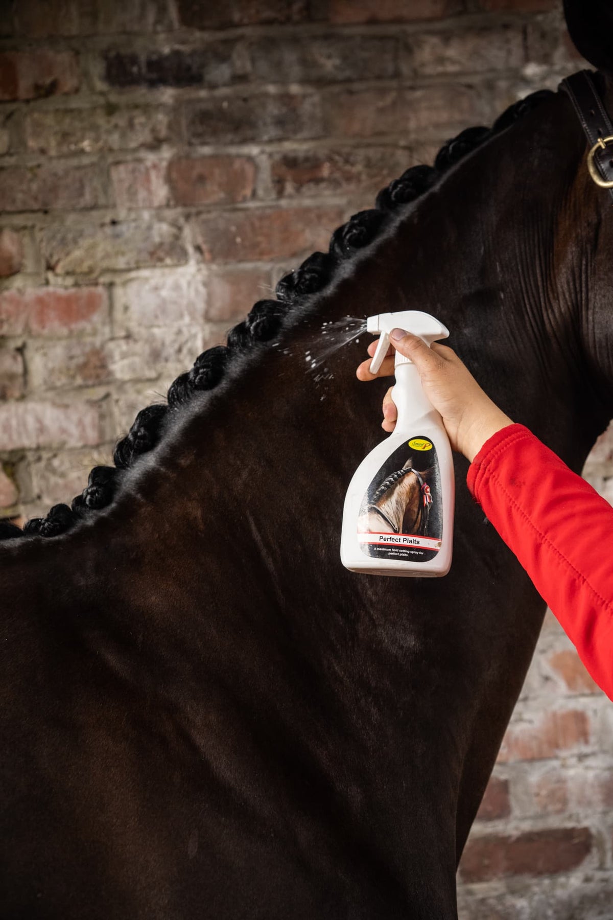 Smart Grooming Spray Perfect Braids, tenue longue durée, brillance discrète