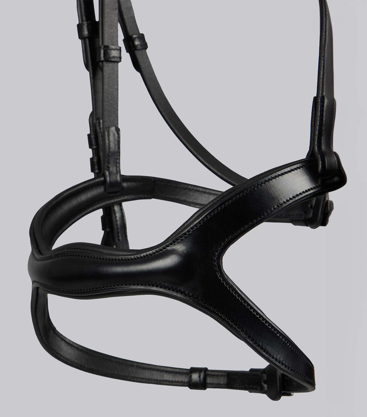 San Paolo Anatomical Bridon