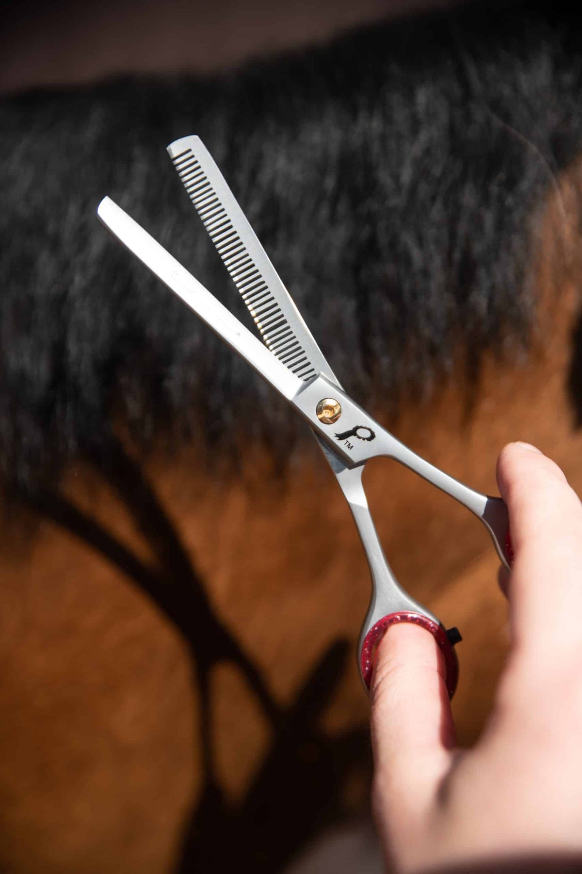 Smart Grooming Ciseaux à effiler de 15cm, contrôle précis, désépaississent les crins épais