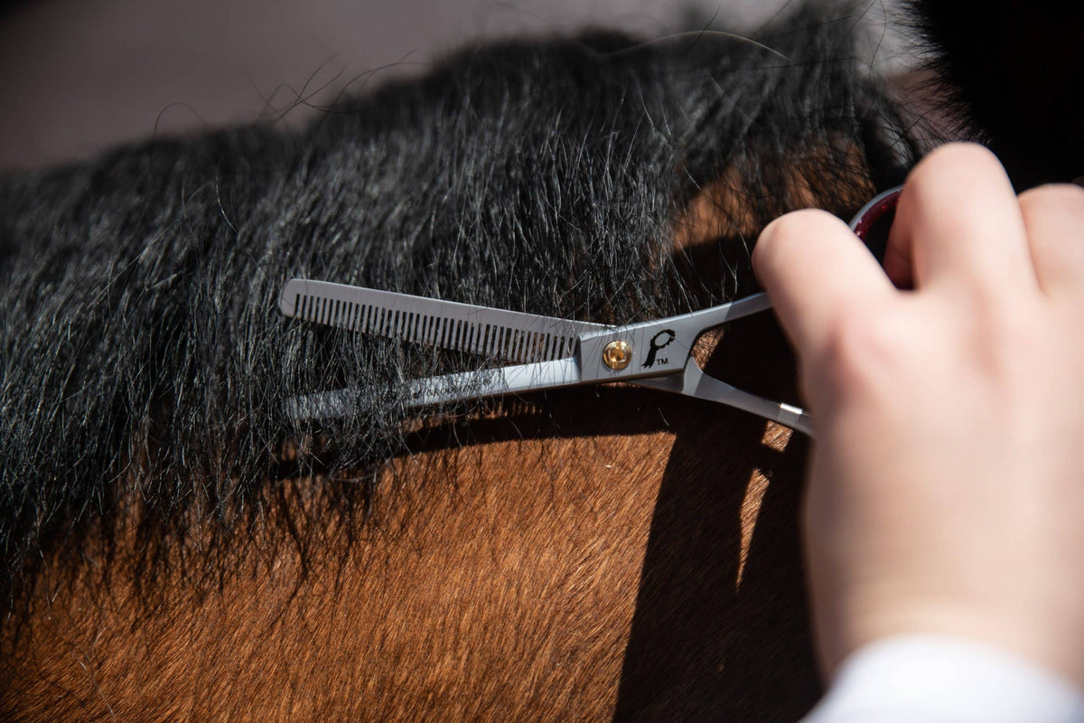 Smart Grooming Ciseaux à effiler de 15cm, contrôle précis, désépaississent les crins épais