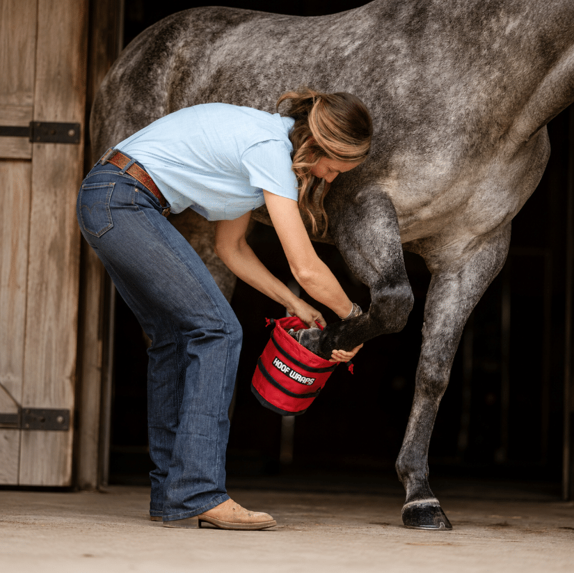 Ice Horse Hoof Wraps Soaker, botte de trempage pour le traitement ciblé du sabot, sans complications