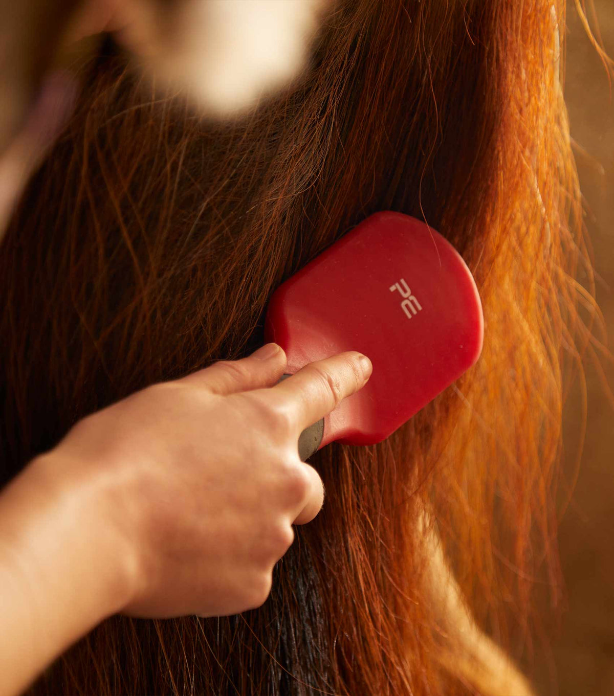 Soft-Touch crins & queue brosse