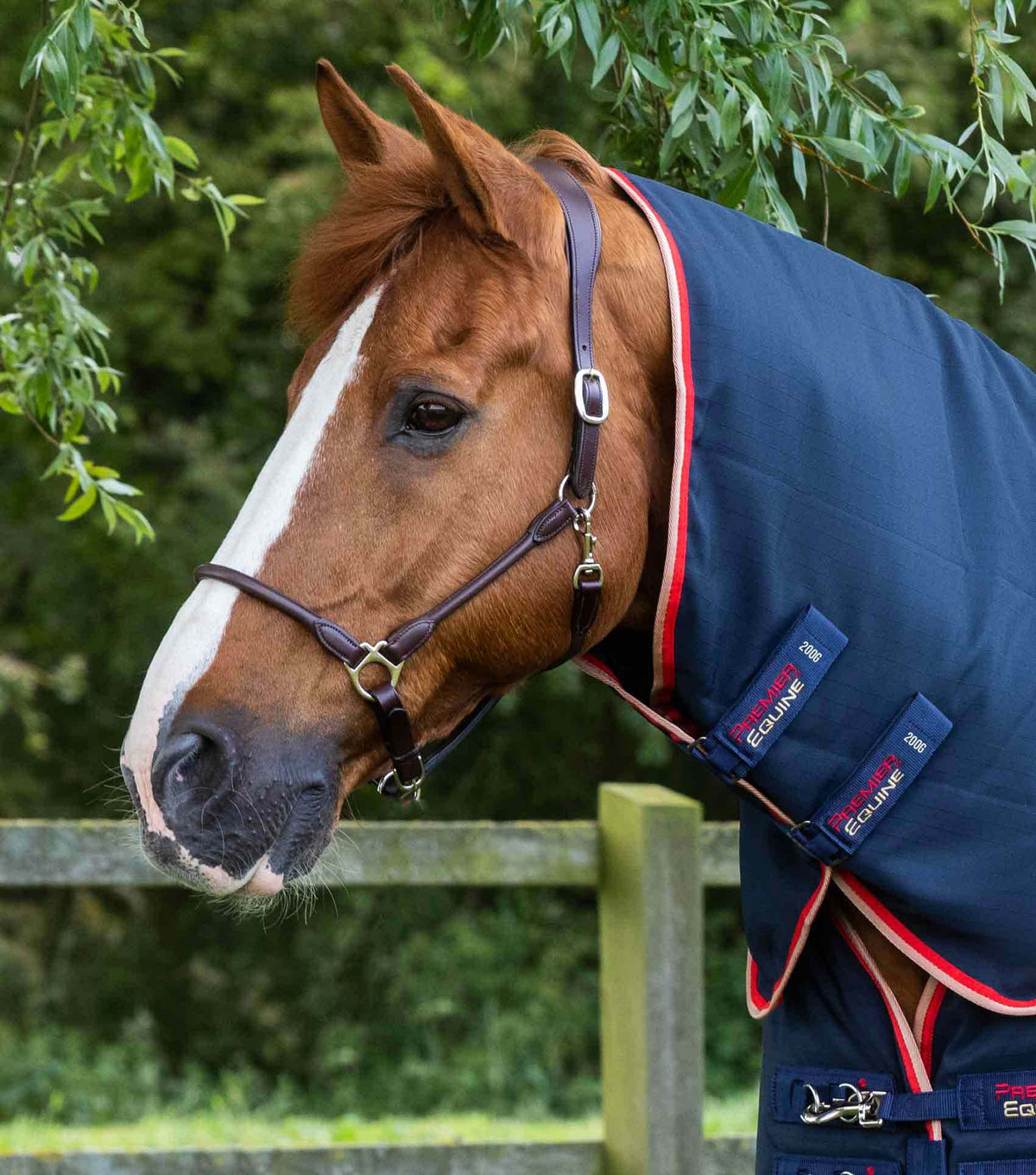 Stable Buster 200g couverture d’écurie avec Neck Cover