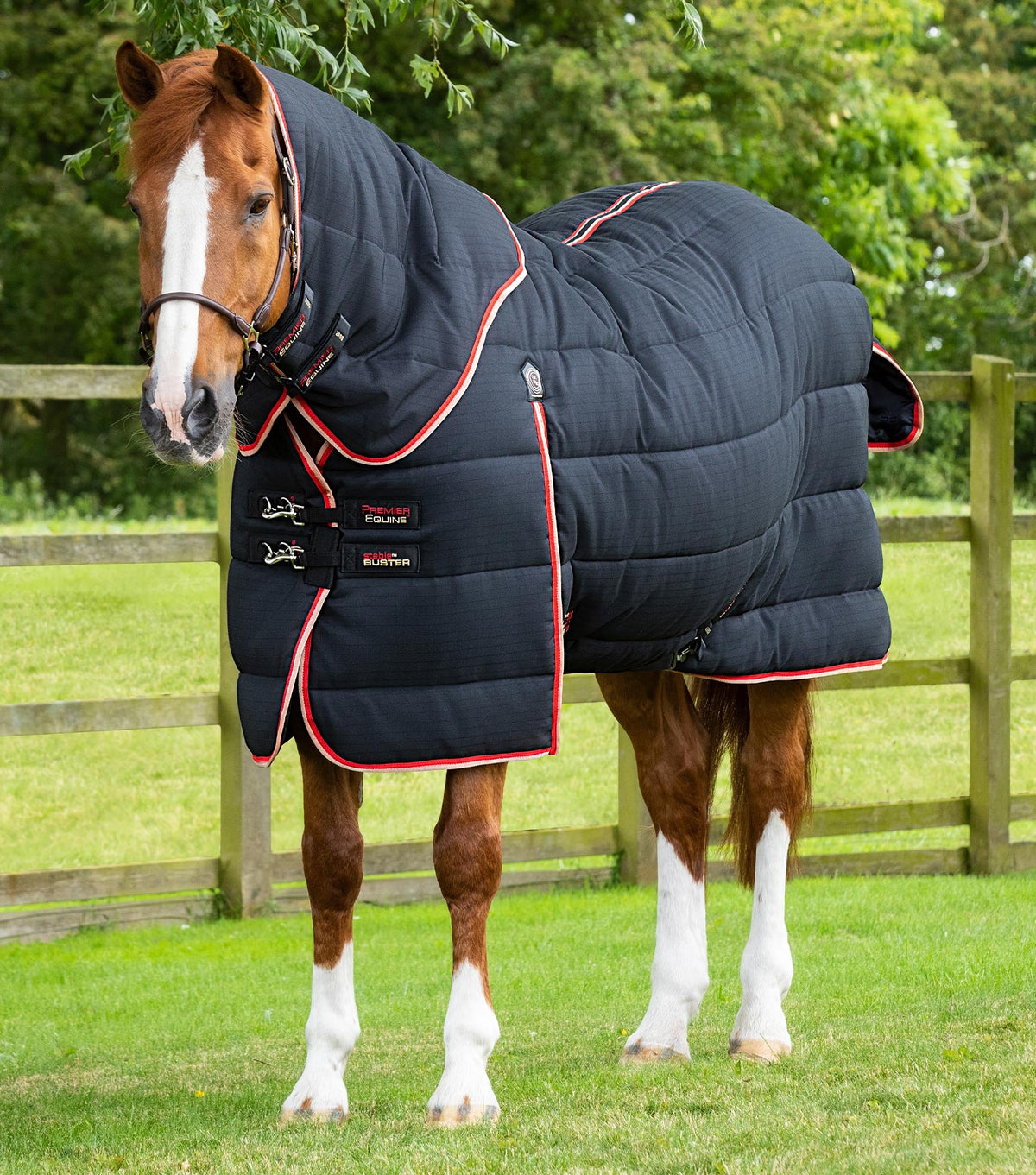 Stable Buster 450g couverture d’écurie avec Neck Cover